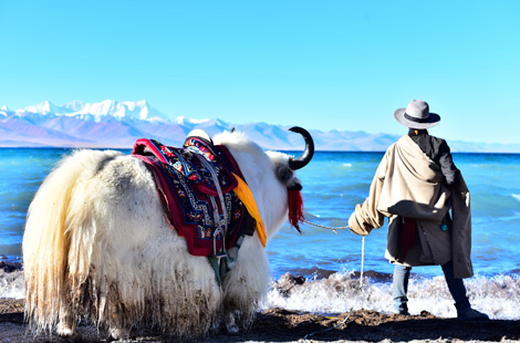 9 Days Classic Trip to EBC with Namtso Lake